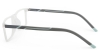 Picture of Fuchsia Glasses