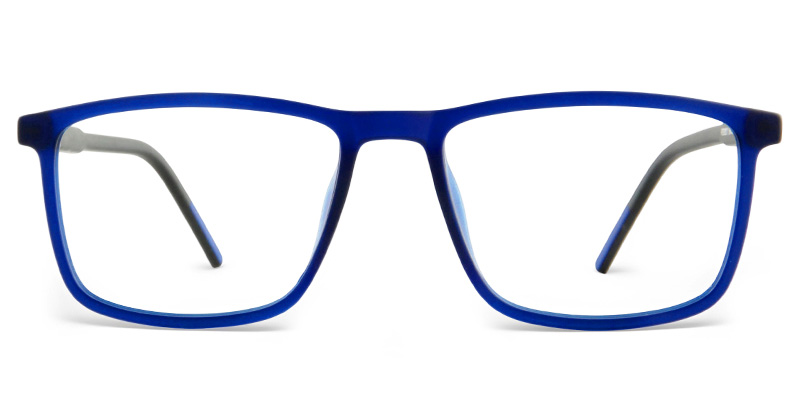 Scenic Glasses Blue